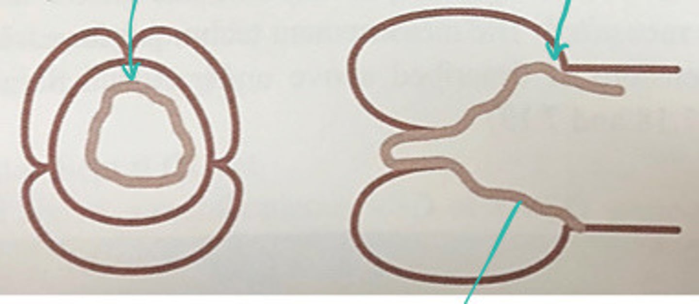 <p>What does this image represent</p>