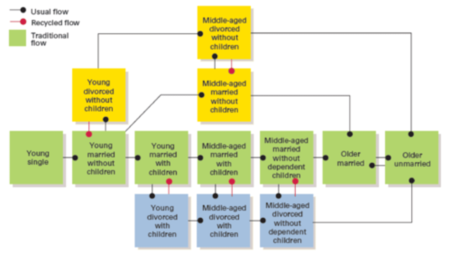 <p>- Consumption patterns among people of the same age and gender differ because of differences in the family life cycle stage.</p><p>Family Life Cycle (FLC):</p><p>- The FLC is a series of stages determined by a combination of age, marital status, and the presence or absence of children.</p>