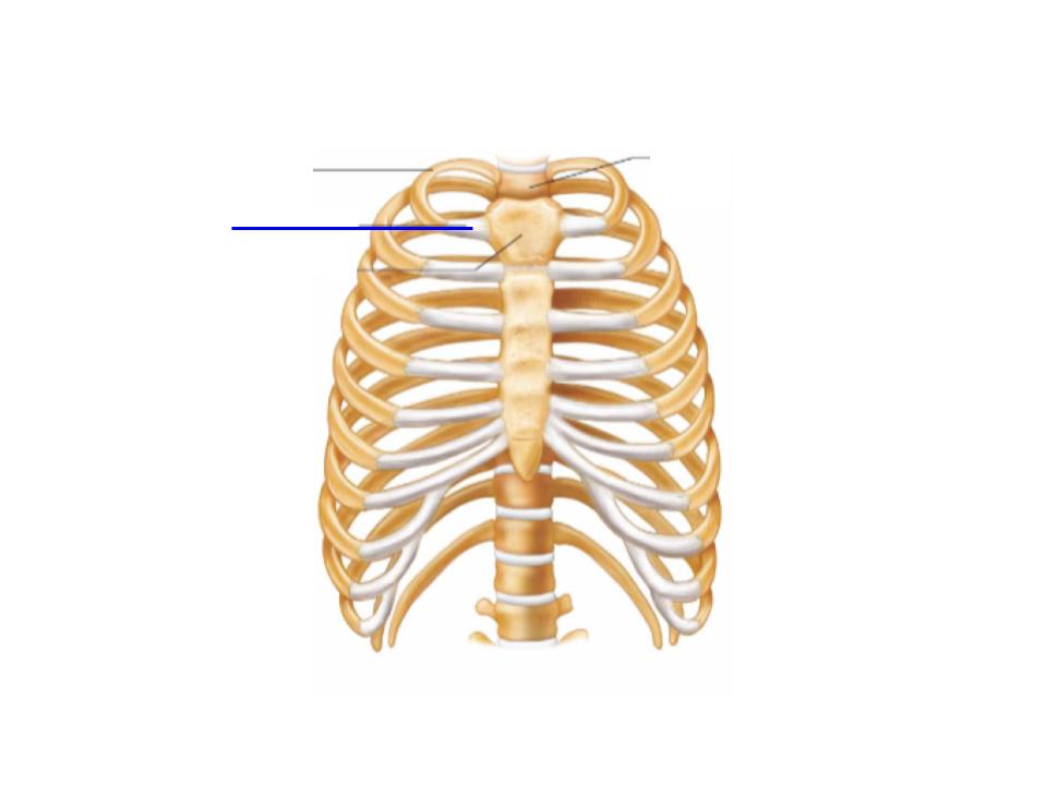 <p>What is this image pointing at? </p>