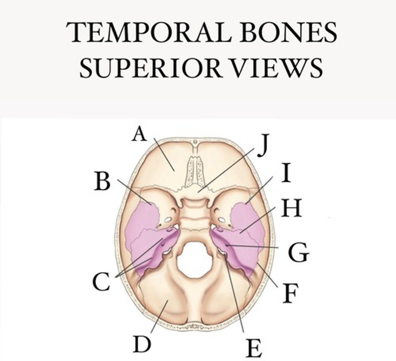 <p>What is A?</p>