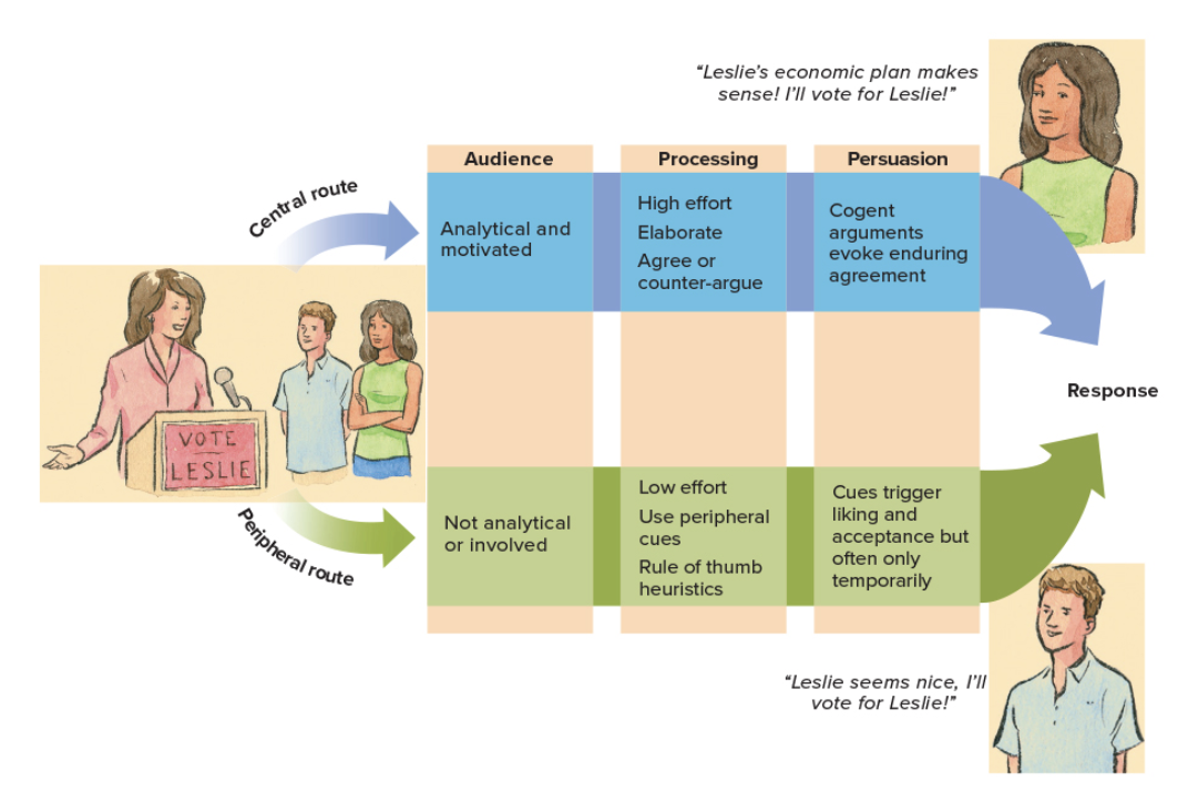 <ul><li><p>when we are calculative/analytical about what somebody is saying to us&nbsp;</p></li><li><p>lots of effort used to think about what’s being said</p></li><li><p>explicit thinking (conscious thought)</p></li><li><p>occurs when individuals <strong>focus on arguments&nbsp;</strong></p></li><li><p>usually produces<strong> long-term</strong> changes in our thinking&nbsp;</p></li></ul><p></p>