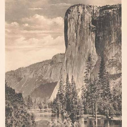 <p>Conservation movement</p>