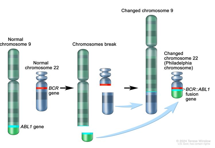 <p>Families where people are born with <strong>chromosomal damag</strong>e, which causes <strong>genes </strong>that increase chances of leukemia&nbsp;</p>