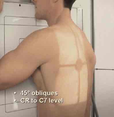 <p>What position is this?</p>