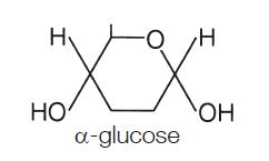 <p>hexagonal structure, 6 carbons, (C6H1206) OH at the bottom.</p>