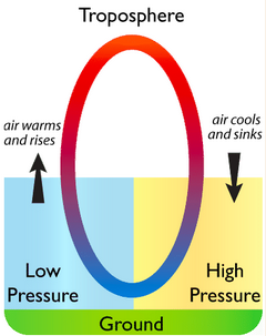 <p><span>Atmospheric convection current:&nbsp; </span></p><ul><li><p><span>Warm gases expand, become less sense, and rise, creating vertical air flow called convection currents.</span></p></li><li><p><span>Warm air currents may also contain a lot of moisture compared to the surrounding air.</span></p></li></ul><p></p>