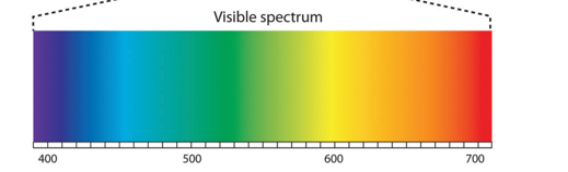 <p>The greater the degree of conjugation, the longer the wavelength required (lower energy) for π-electrons to undergo transition</p><p>→ pi electrons bounce more easily if more conjugation  so less energy needed= longer wavelenght (red absorbed)</p><p></p>