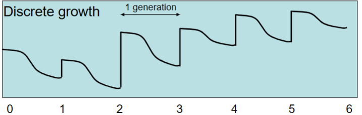 <p>everyone overwinters as an adult, finds mates in the spring, has babies and dies. At any point in the year, all individuals are about the same age.</p><p>Nt+1 = Nt x R0</p><p>Note that since it is multiplicative, if R0 = 1, the population is stable</p>