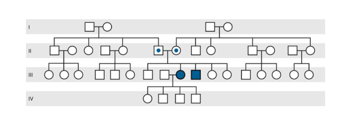 <ul><li><p>Horizontal pedigree pattern, with one or more siblings affected (however, often only one)</p></li><li><p>Skips generations</p></li><li><p>Males and Females equally affected</p></li><li><p>can be the product of <strong>consanguineous relations</strong></p></li></ul>