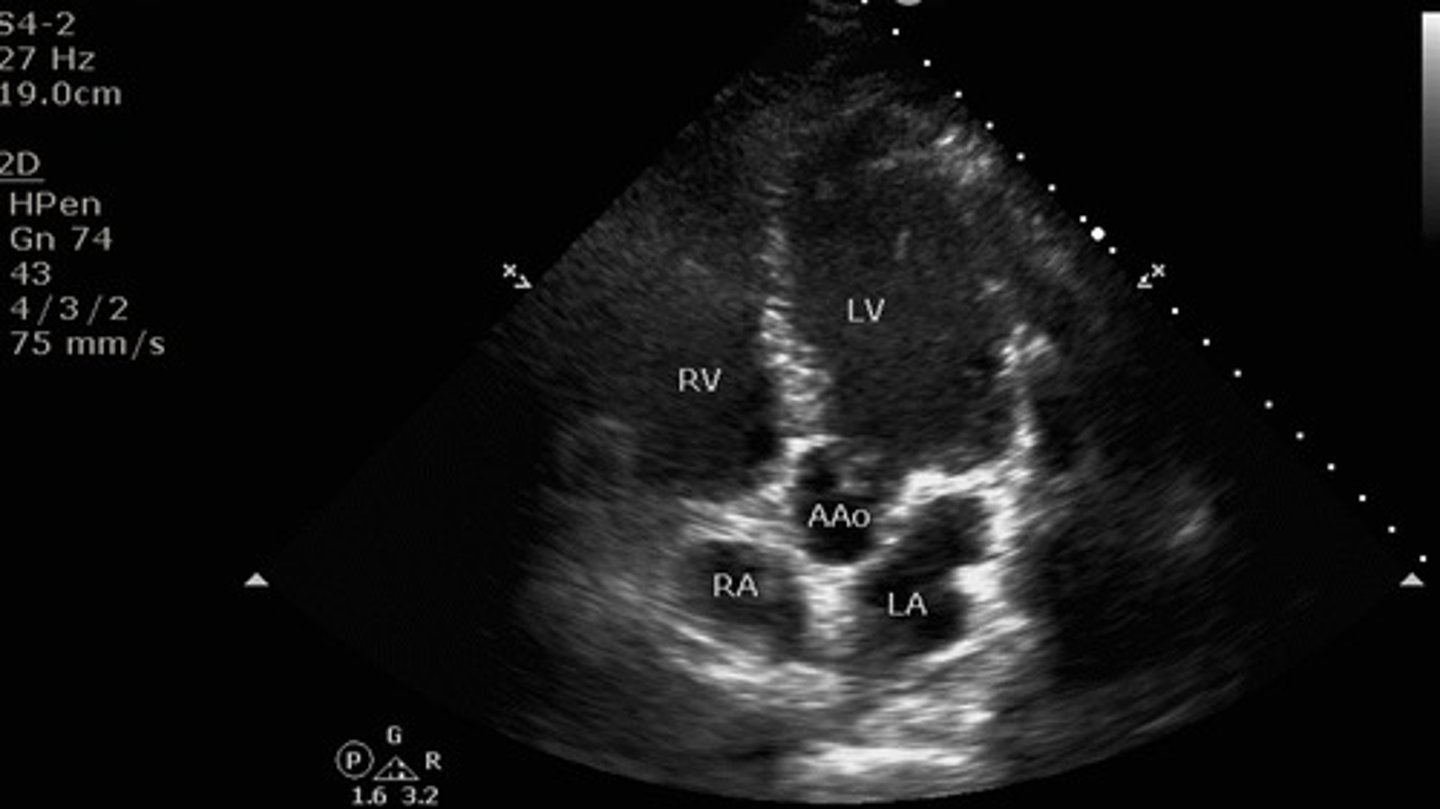 <p>what view is this?</p>