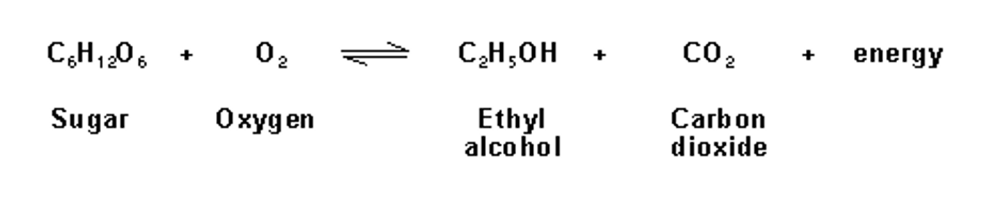 <p>anaerobic process used by yeast cells and some bacteria to produce CO2 and ethyl alcohol and 2 ATP molecules (also used when little or no oxygen present)</p>
