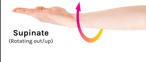 <p>rotating out/up</p>