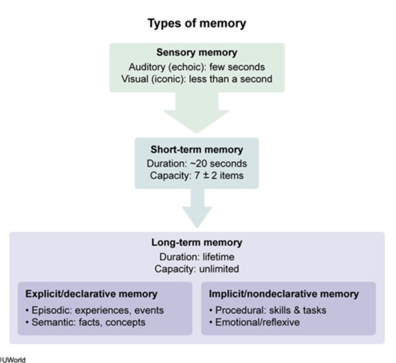 <p>FALSE</p><p></p><p><span class="bgB">sensory</span>: A few seconds</p><p>-<span class="bgY">auditory/echoic</span></p><p>-<span class="bgY">visual/iconic</span></p><p></p><p><span class="bgB">short-term memory:</span> ~20 seconds</p><p>-7+2 experiment</p><p></p><p><span class="bgB">long term memory:</span></p><p>-<span class="bgY">explicit/declarative</span></p><p>--<span style="text-decoration:underline">episodic</span>: experience/events</p><p>--<span style="text-decoration:underline">flashbulb</span> memories</p><p>--<span style="text-decoration:underline">semantic</span>: facts/concepts</p><p>-<span class="bgY">implicit/nondeclarative</span></p><p>--<span style="text-decoration:underline">procedural</span>: skills &amp; tasks</p><p>--<span style="text-decoration:underline">emotional</span>/<span style="text-decoration:underline">reflexive</span></p><p></p><p></p>