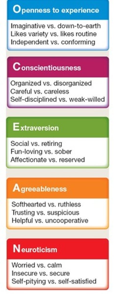 <p>1. Openness to experience. Imaginative versus down-to-earth, Likes variety versus likes routine, and Independent versus conforming.</p><p>2. Conscientiousness. Organized versus disorganized, Careful versus careless, and Self-disciplined versus weak-willed.</p><p>3. Extraversion. Social versus retiring, Fun-loving versus sober, and Affectionate versus reserved.</p><p>4. Agreeableness. Soft hearted versus ruthless, Trusting versus suspicious, and Helpful versus uncooperative.</p><p>5. Neuroticism. Worried versus calm, Insecure versus secure, and Self-pitying versus self-satisfied.</p>