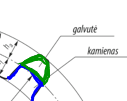 <p><span><span>Kiekvienai cilindrinių krumpliaračių porai galima įsivaizduoti tokius apskritimus, kuriais sankiboje esantys krumpliaračiai liestųsi. Šie apskritimai vadinami pradiniais.</span></span></p><p><span><span>Dalina į dvi dalis.</span></span></p><ul><li><p>Krumplio dalis virš pradinio apskritimo vadinama galvute</p></li><li><p>Krumplio dalis žemiau pradinio apskritimo vadinama kamienu</p></li></ul><p></p>