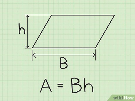 <p>base x hauteur</p>