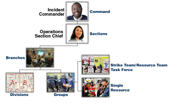 <ul><li><p>Command: Incident Commander and other Command Staff</p></li><li><p>Single Resource: An individual, a piece of equipment and its personnel complement, or an established crew or team of individuals with an identified work supervisor that can be used on an incident</p></li></ul><p></p>
