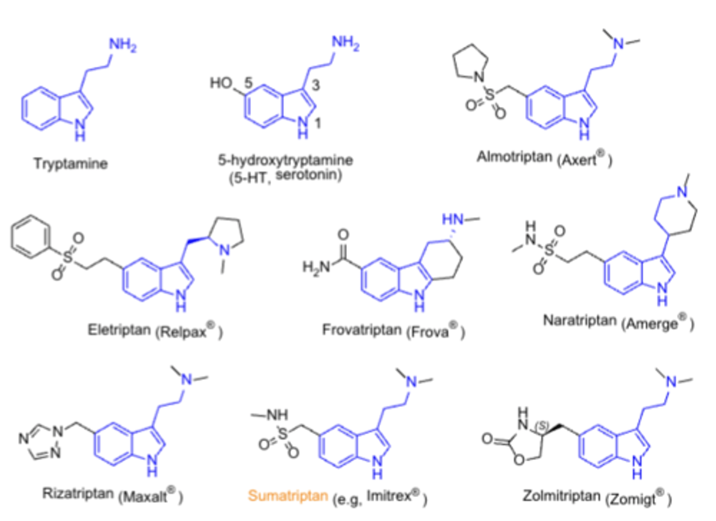 <p>- family of tryptamine-based drugs for treating migraines and cluster headaches</p><p>- agents: sumatriptan</p><p>- SAR: similar to serotonin, N-substituents</p>