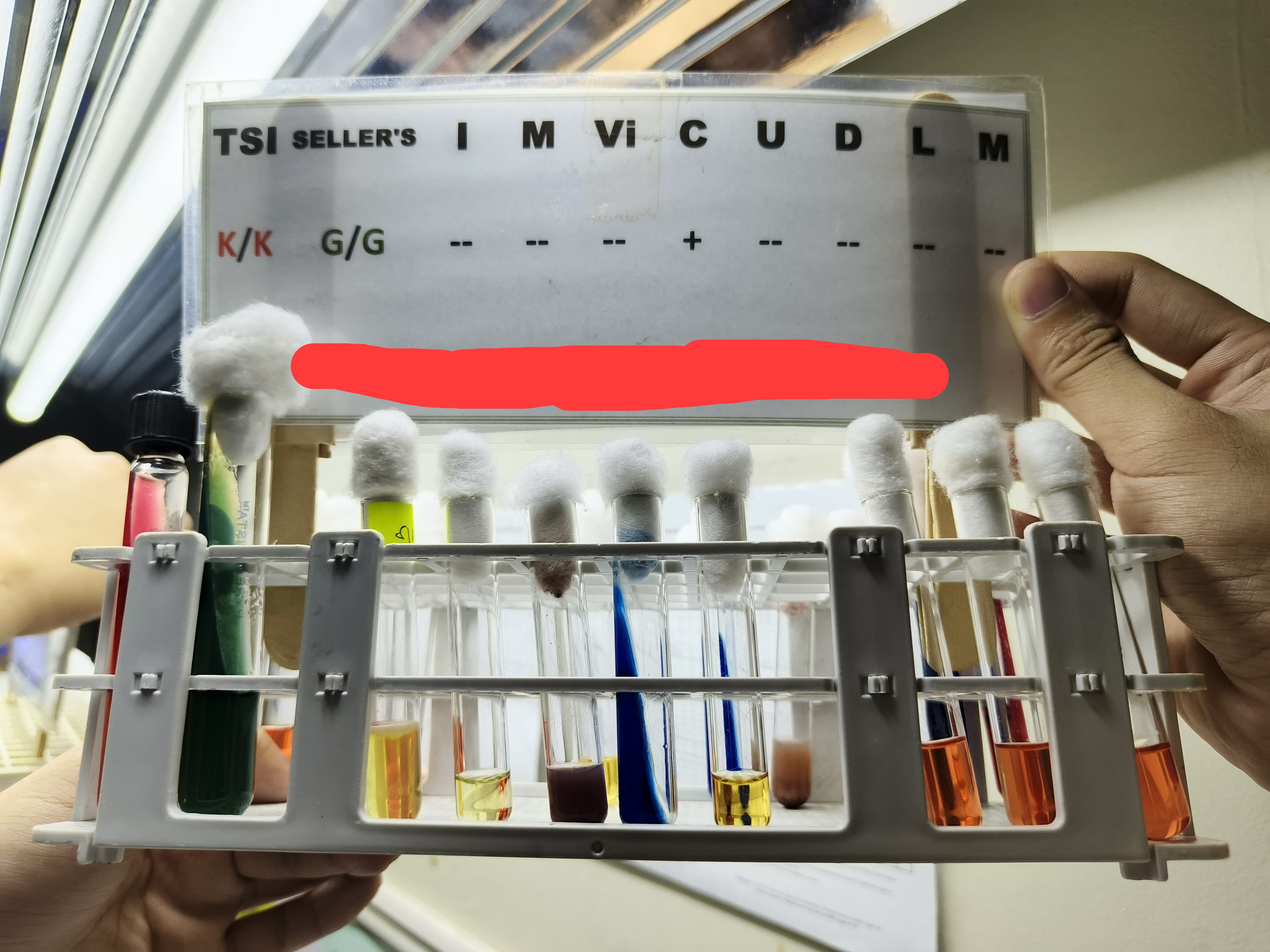 <p>Identify </p>