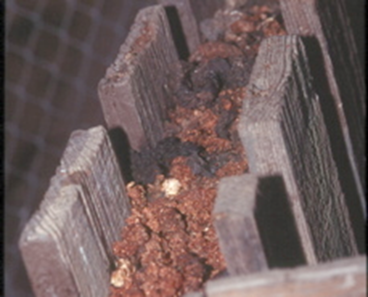 <p><span>feces and urine deposited by animals in a specific, repeated location, forming a "communal bathroom" for a species. In mammalogy, this behavior is a form of scent marking used for communication, territorial defense, and social bonding</span></p>