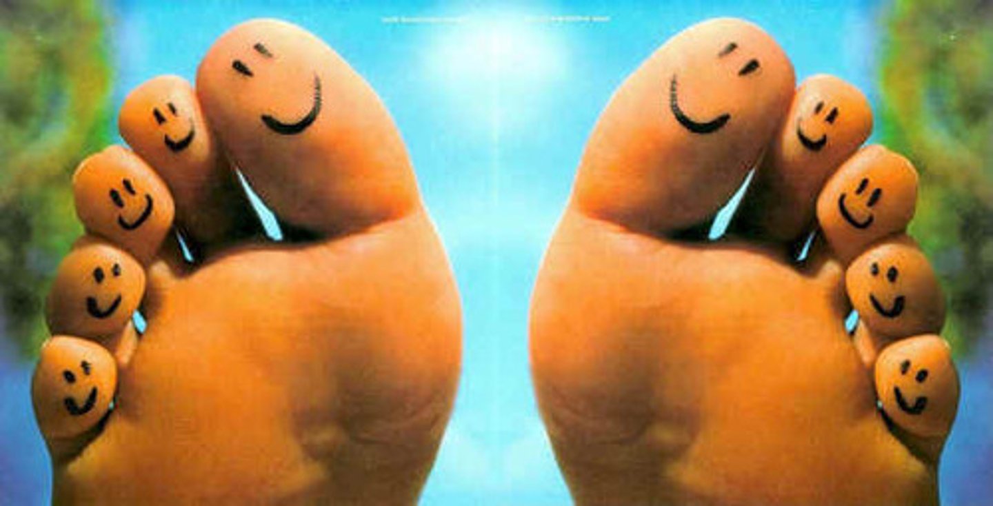 <p>toe, noun</p>