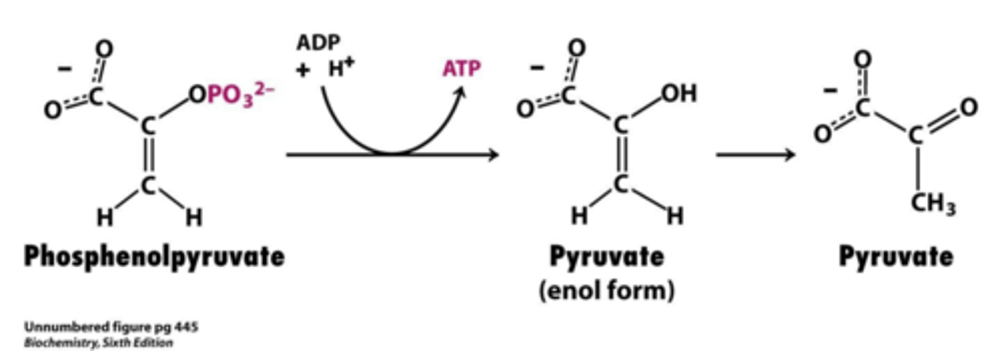 <p>enol-ketone conversion</p>