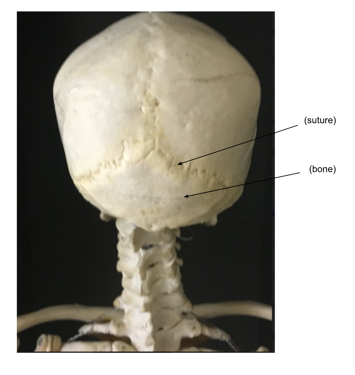 <ol><li><p></p></li><li><p></p></li></ol><p></p>