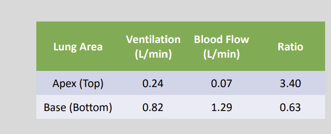 <ul><li><p>Very well</p></li></ul><p></p>