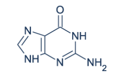 <p>is this a purine or pyramidine?</p>