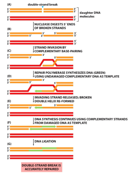 <p>What is this diagram</p>