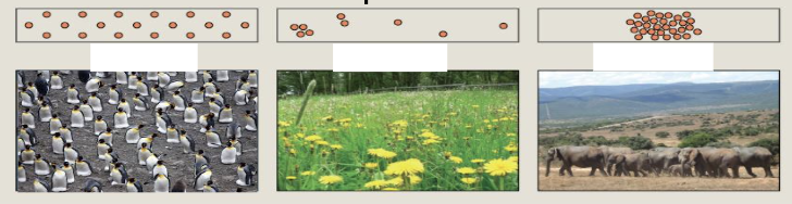 <p>uniform, random and clumped</p>