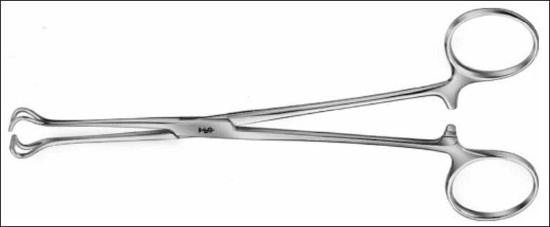 <p>name of instrument</p>