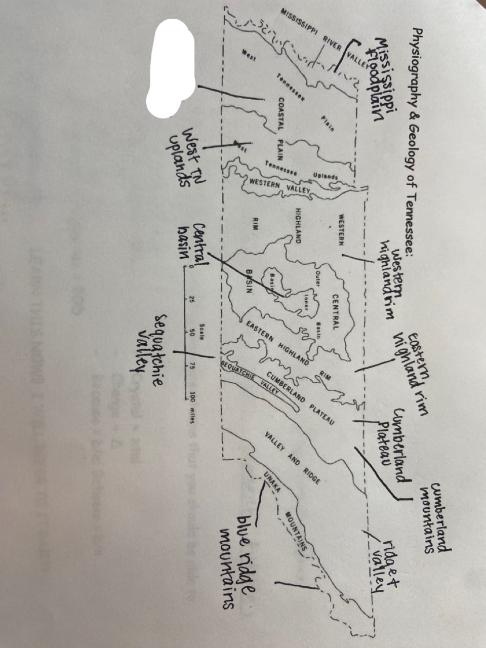 which one is marked out?