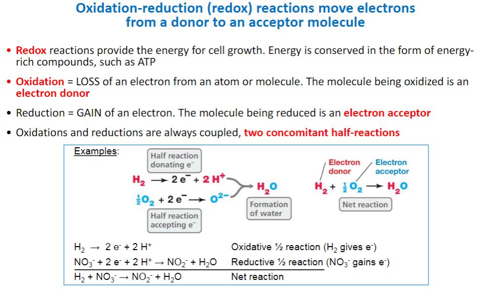 <p>Oxidation reduction (look into it and identify)</p>