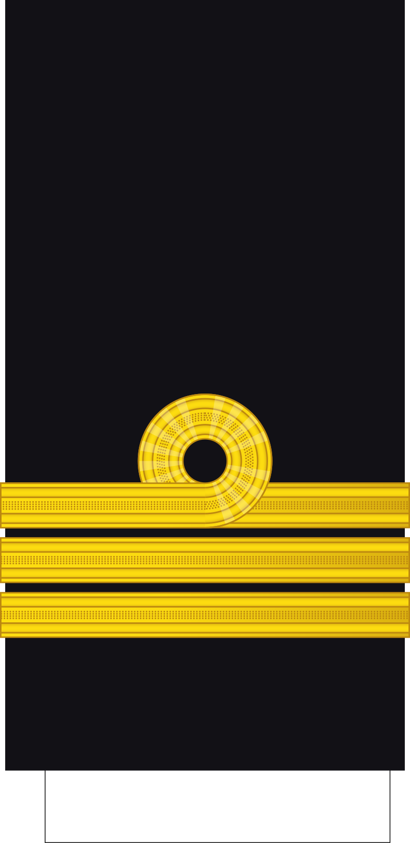 <p>What rank is this?</p>