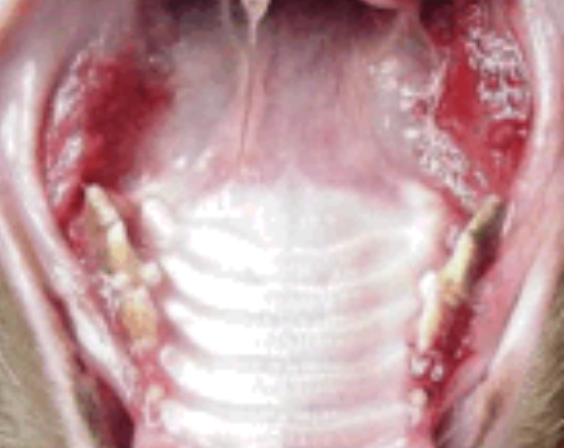 <p>what is the image showing?</p>
