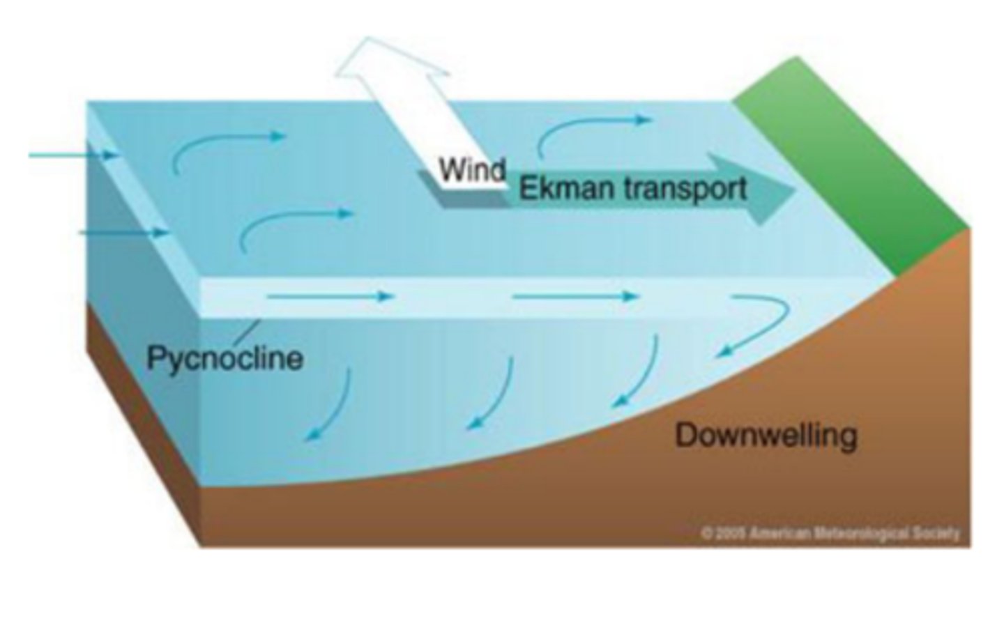 <p>is the movement of water from the surface to greater depths</p>