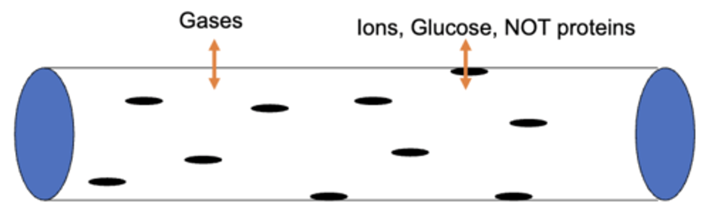 <p>clefts/pores</p>