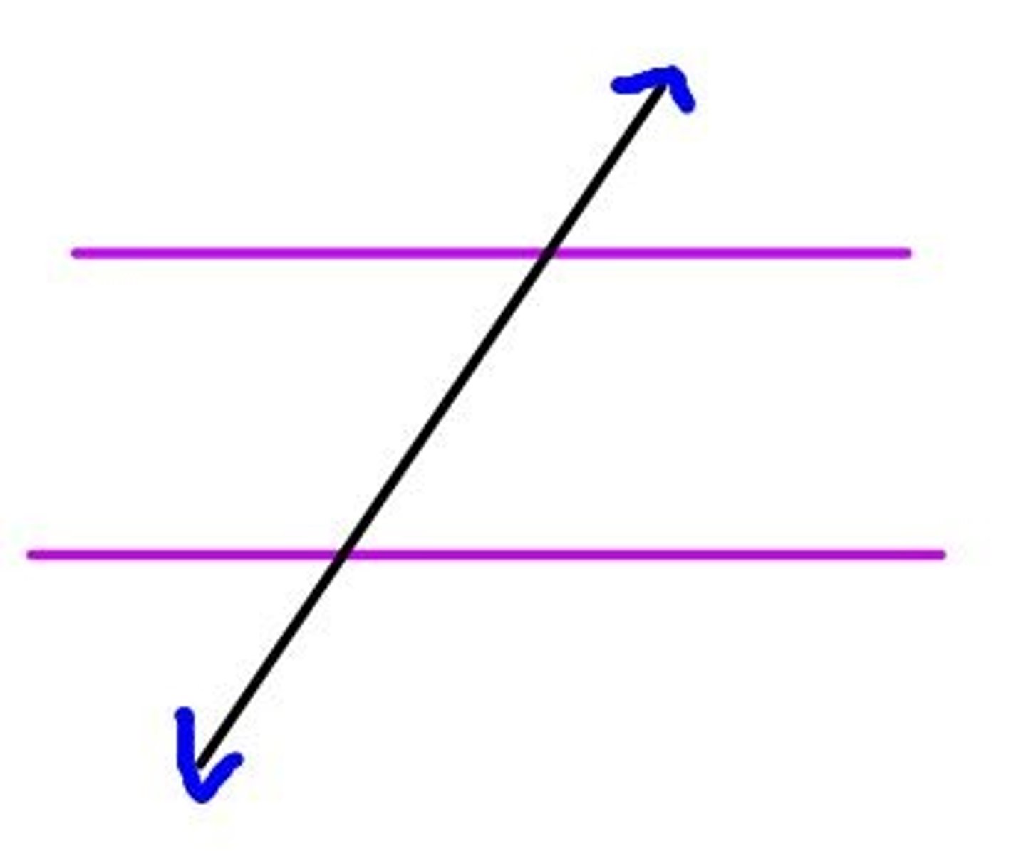 <p>wa line that intersects two parallel lines</p>