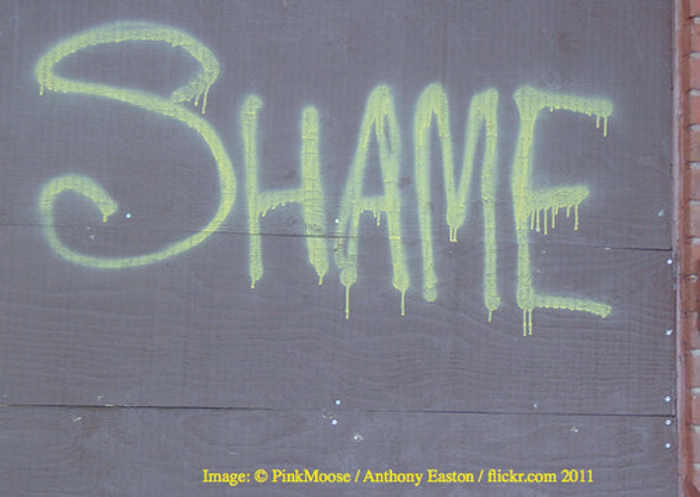 <p>causing someone to lose their dignity and the respect of others; degrading</p>