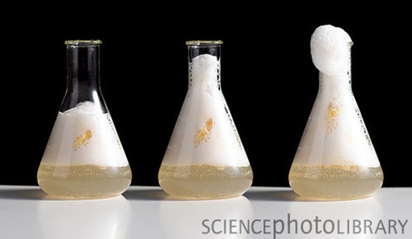 <p>enzyme (chemistry)</p>