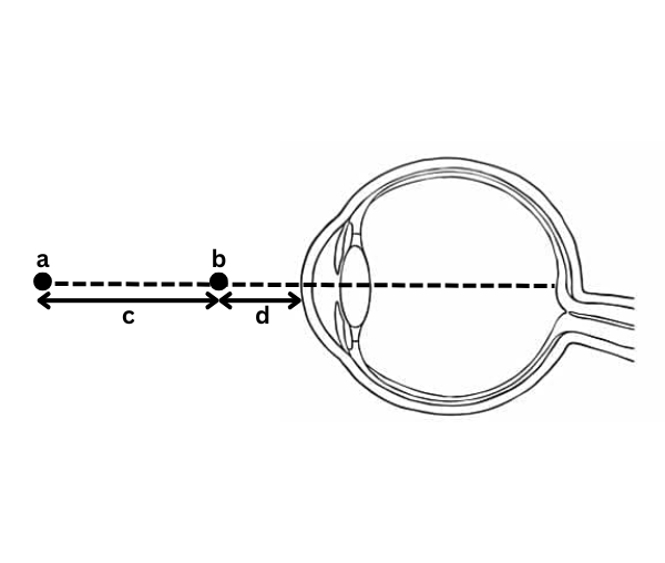 <p><span style="color: rgb(0, 0, 0);"><span>Label This Image</span></span></p><p><span style="color: rgb(0, 0, 0);"><em><span>The Range of Vision</span></em></span></p>