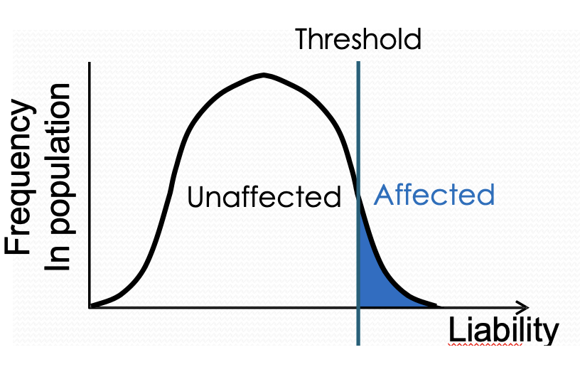 <p>Most diseases phenotypes are discontinuous. Polygenes + environment produce a distribution of liability. The disease occurs when liability exceeds threshold. Relatives of affected individuals have an increased risk. </p>