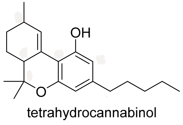 <p>Identify the chirality centres in tetrahydrocannabinol</p>