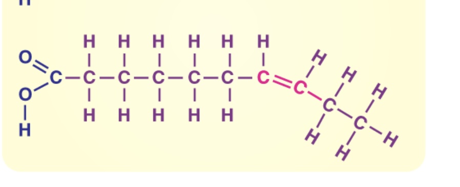 <p>What type of structure is this </p>