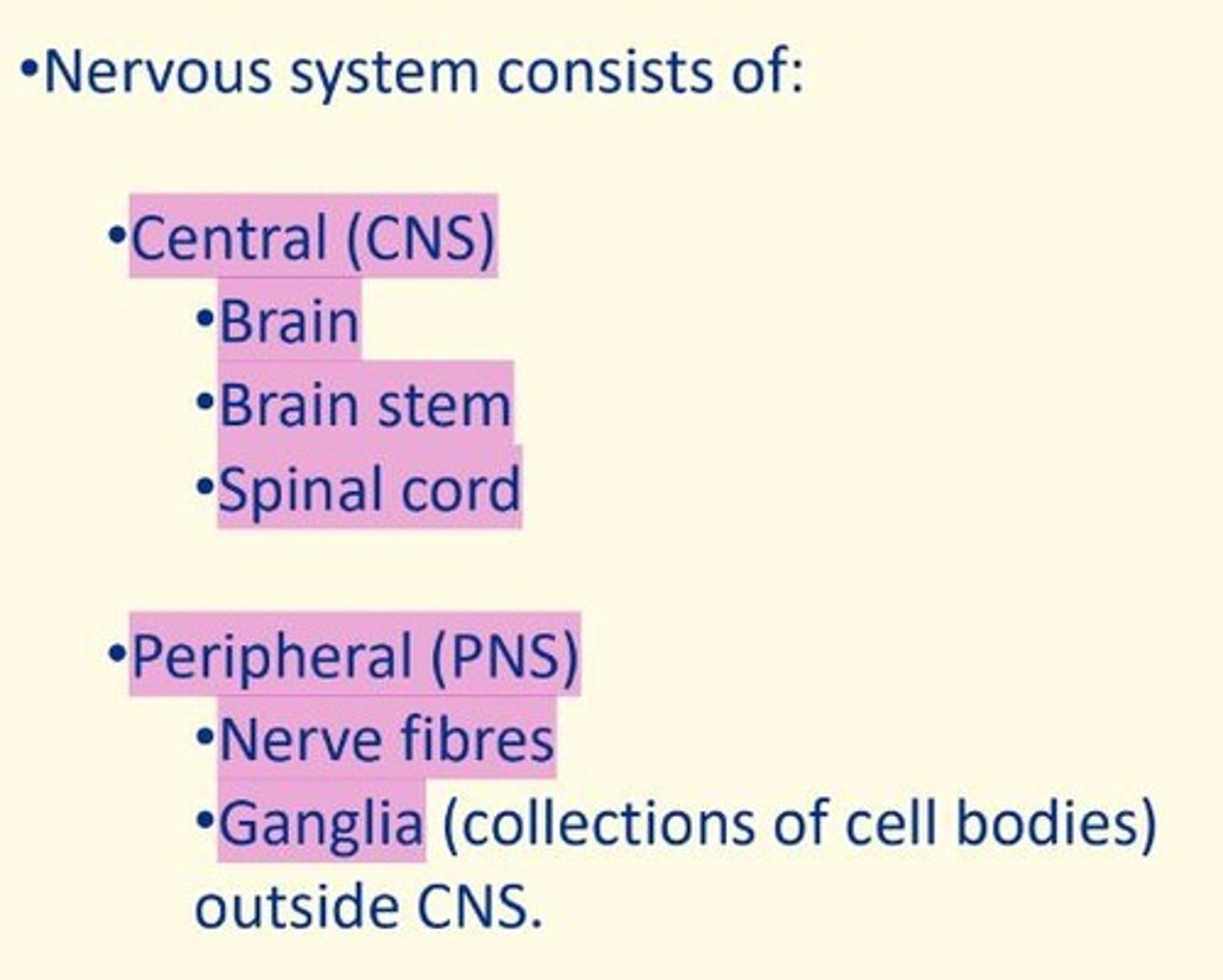 <p>CNS = brain, brainstem, spinal cord</p><p>PNS = nerve fibers, ganglia (collection of cell bodies)</p>