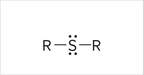 <p>R must be carbon</p>