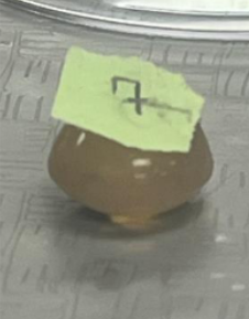 <p>What does number 7 represent?</p>