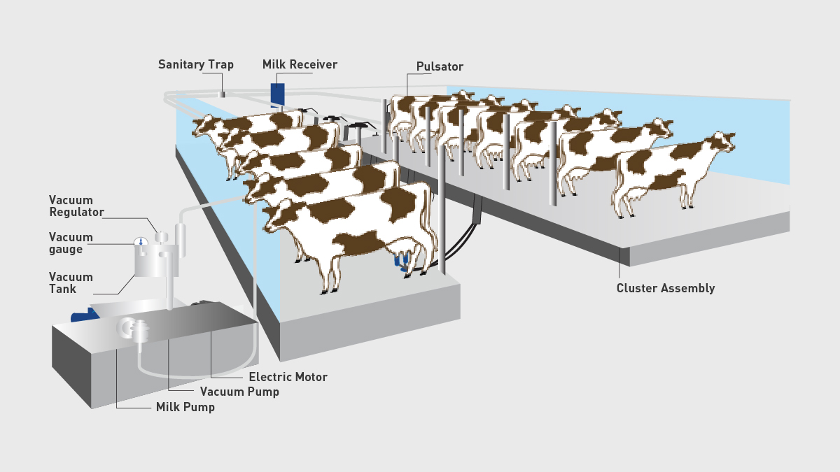 <p>What type of parlor?</p>