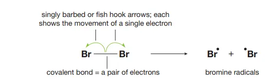 <p>Identify this diagram</p>